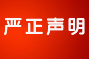 A solemn statement regarding the impersonation of our company's official website.